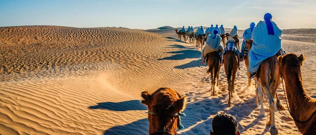 Desert safari caravan