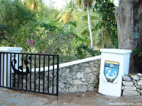 Gate to Driveway | Heron Hill House Gorgeous Beachfront Villa | Image #13/22 | 