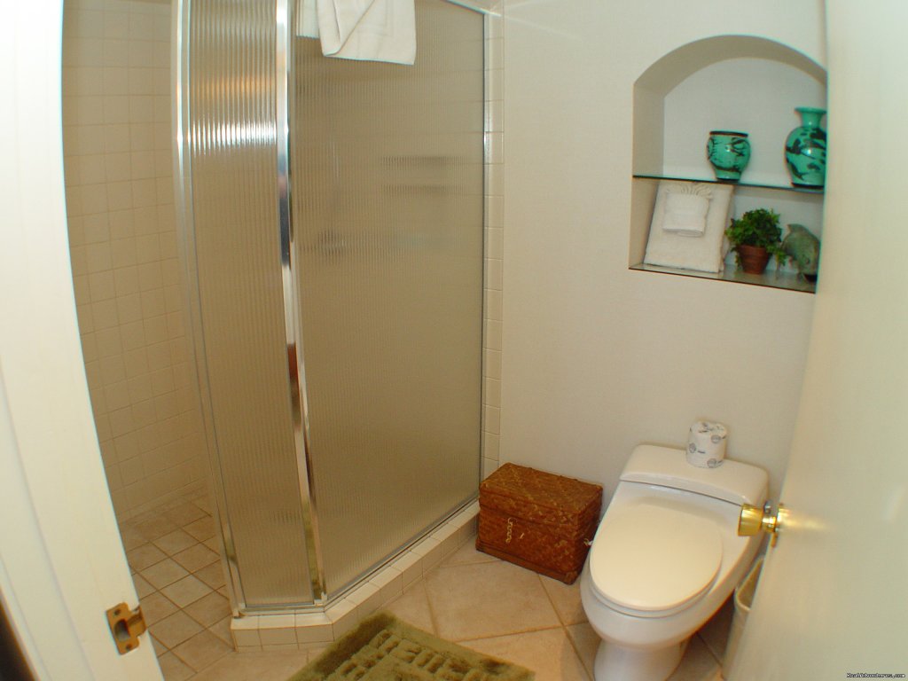 Master Bathroom | Polo Beach 2-4 Bd beachfront-Wailea, Makena, Maui | Image #9/19 | 