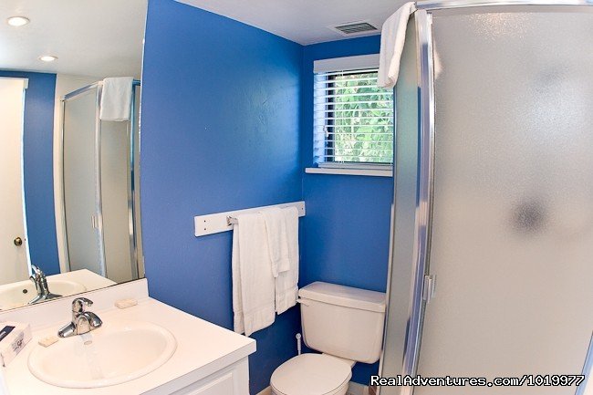 Main Floor Bathroom | Deluxe Private Home at Sunset Captiva, Captiva Isl | Image #10/17 | 
