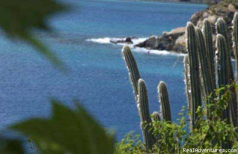 View from the 2nd bedroom deck | Romantic waterfront villa, private snorkeling beac | Image #18/20 | 