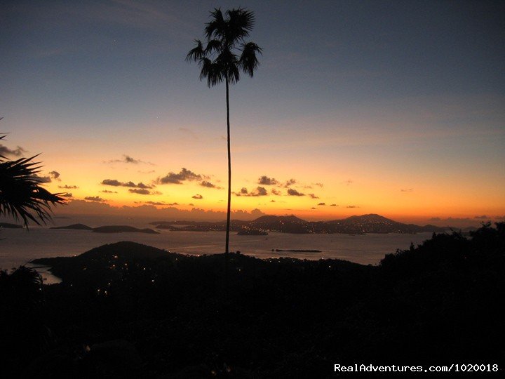 Lone Palm in the Sunset | Cloud Nine, Panoramic Views of Oceans and Islands | Image #8/24 | 