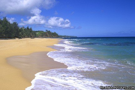 Lumahai Beach Nearby | Cliff's Honeymoon Condo Princeville, Kauai, Hawaii | Image #13/23 | 