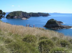 Kiwi Dundee Adventures Ltd.     New Zealand | Tairua, New Zealand | Sight-Seeing Tours