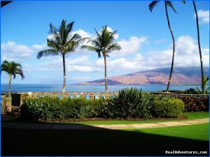 Ocean Breeze Hideaway--Maui B&B & Oceanfront Condo
