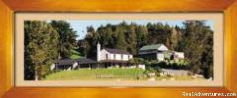 http://www.kaurigrove.co.nz/lodge2.jpg | Kauri Grove Lodge | Warkworth, New Zealand | Bed & Breakfasts | Image #1/4 | 