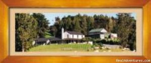 Kauri Grove Lodge | Warkworth, New Zealand Bed & Breakfasts | Great Vacations & Exciting Destinations
