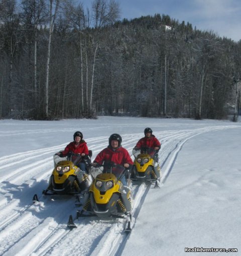Snowmobile Tours | Mountain Springs Lodge, Lodging and Activities | Image #5/9 | 