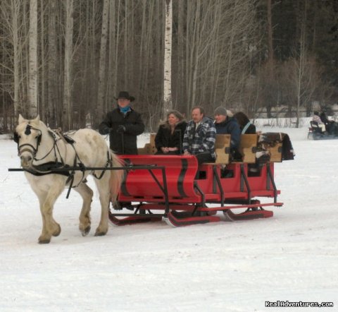 Sleigh Rides | Mountain Springs Lodge, Lodging and Activities | Image #6/9 | 