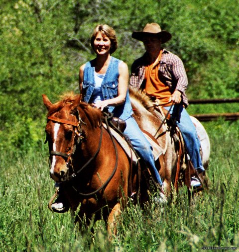 Board Your Horse | Mountain Springs Lodge, Lodging and Activities | Image #9/9 | 