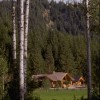 Mountain Springs Lodge, Lodging and Activities Pines Lodge