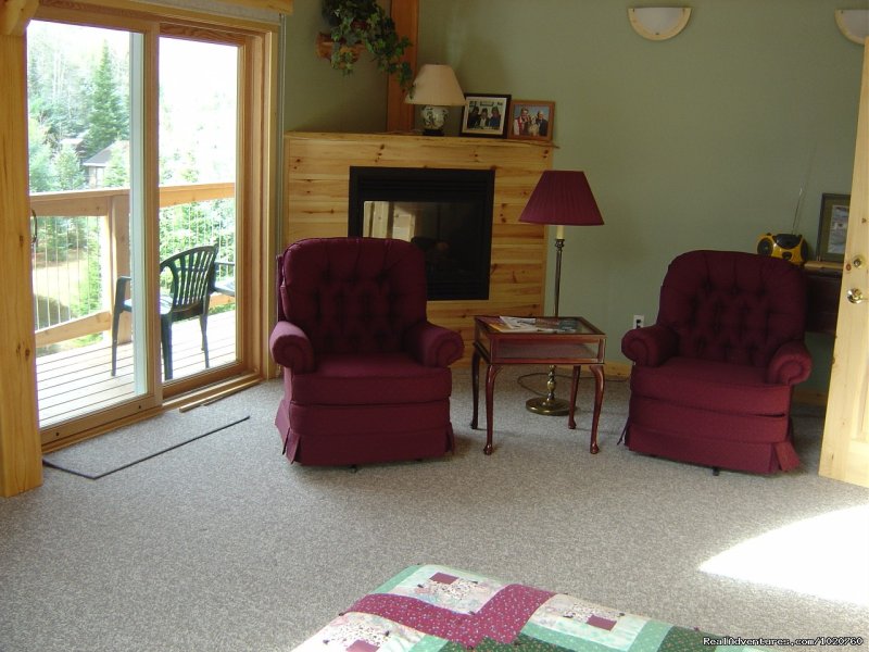 Woodrush Fallsview Suite Sitting Area infront of Fireplace | Sunny Rock Bed & Breakfast Haliburton Highlands ON | Image #2/23 | 
