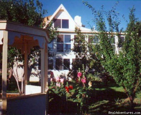 Lawn view | Zuni Mountain Lodge & Tours | Thoreau, New Mexico  | Bed & Breakfasts | Image #1/1 | 