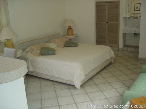 Suite with king size bed and  efficiency