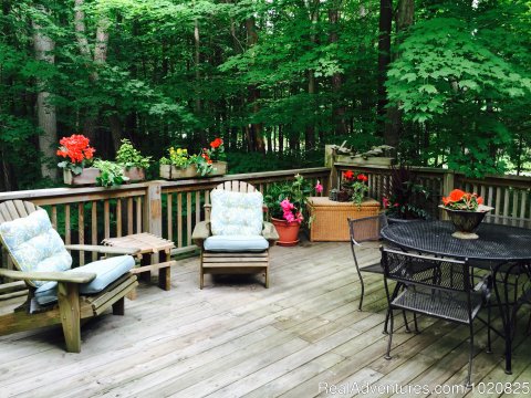 Sherwood Forest B&B, Safari Suite Deck