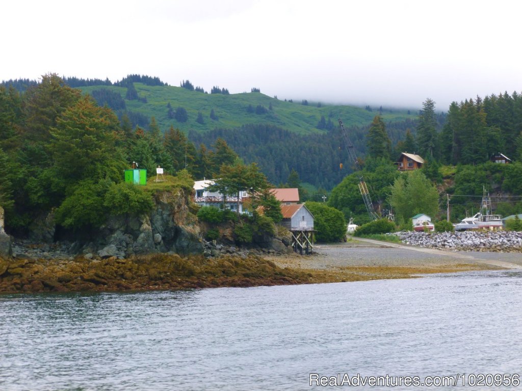 View from the sea | Historic & scenic Seldovia Alaska Bed & Breakfast | Image #3/14 | 