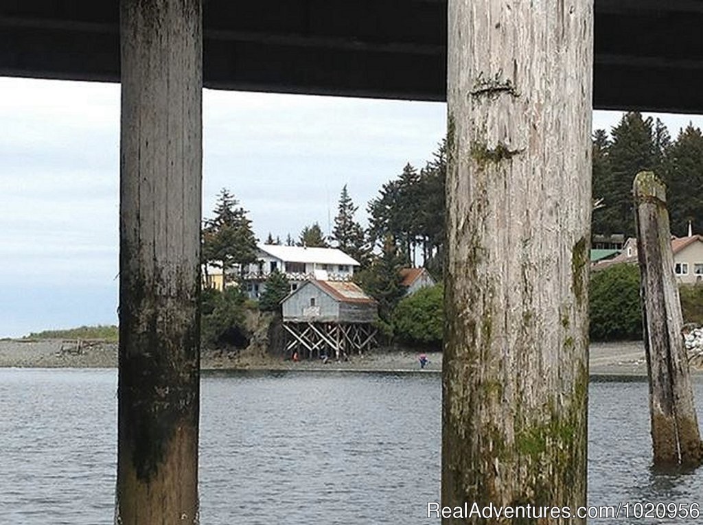 Our B&B viewed from the fuel dock | Historic & scenic Seldovia Alaska Bed & Breakfast | Image #5/14 | 