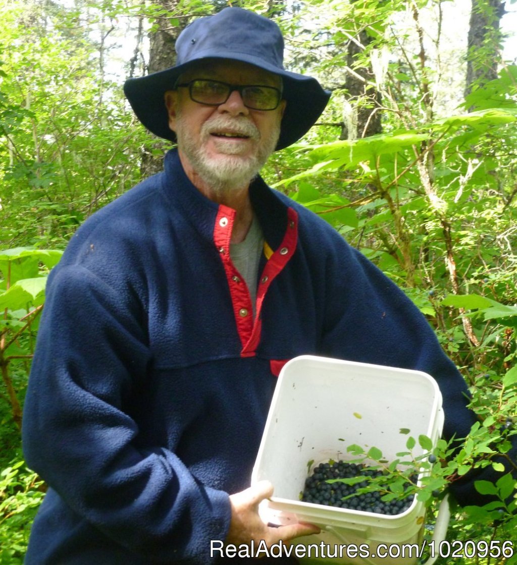 Blueberry picking | Historic & scenic Seldovia Alaska Bed & Breakfast | Image #7/14 | 
