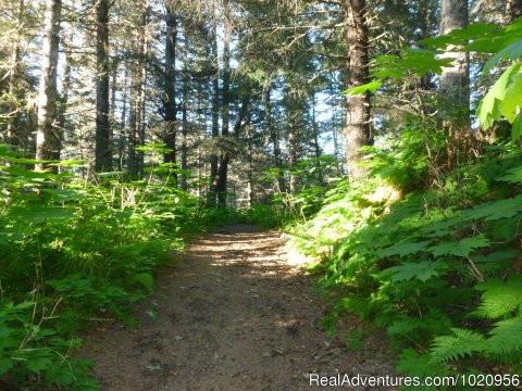 Otter Bahn Trail