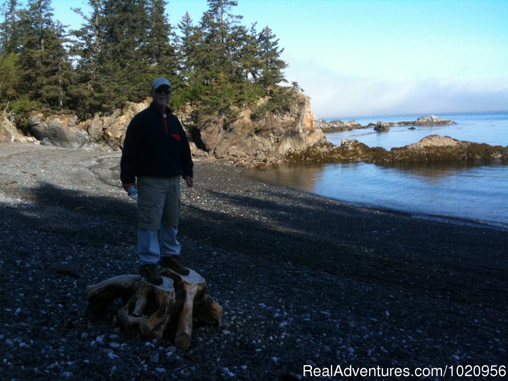 Our beach | Historic & scenic Seldovia Alaska Bed & Breakfast | Image #14/14 | 
