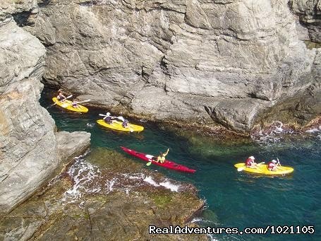 Kayak tours on the sea and the river