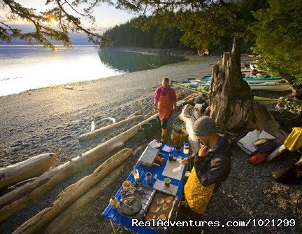 Camping in style | Sea Kayak Vacations & Whale Adventures in Baja/BC | Image #24/25 | 