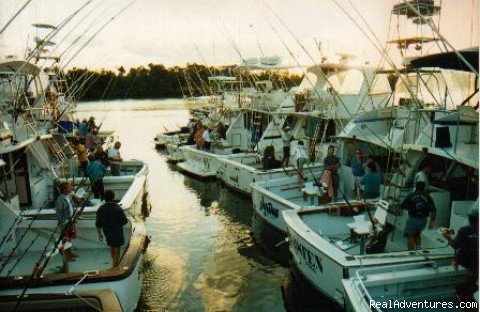 Local game fleet | Fishing Cairns | Image #2/9 | 