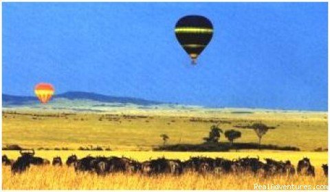 Balloon & Wildebeest | African Horizons - Safaris and Tours | Image #4/4 | 