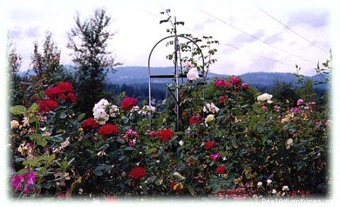the rose garden at A Cascade View Bed & | A Cascade View Bed & Breakfast | Image #2/4 | 