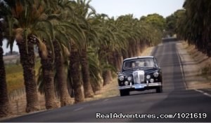 Barossa private wine touring in a 1962 Daimler | Sight-Seeing Tours Barossa Valley, Australia | Sight-Seeing Tours Pacific