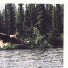 Finger Lake Wilderness Resort-GETAWAY,Relax&Unwind Feed Eagles from your boat