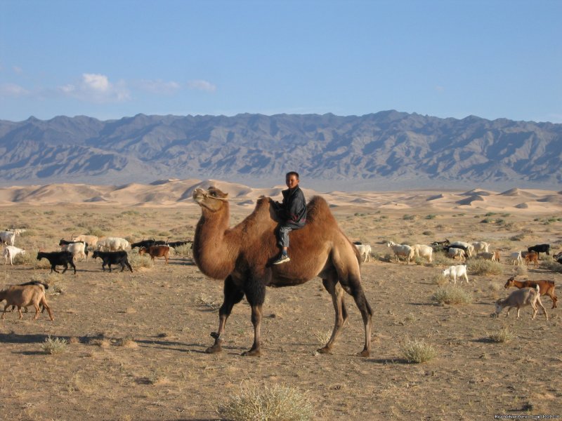 Gobi desert Samar Magic Tours | Mongolia Samar Magic Tours | Image #5/9 | 