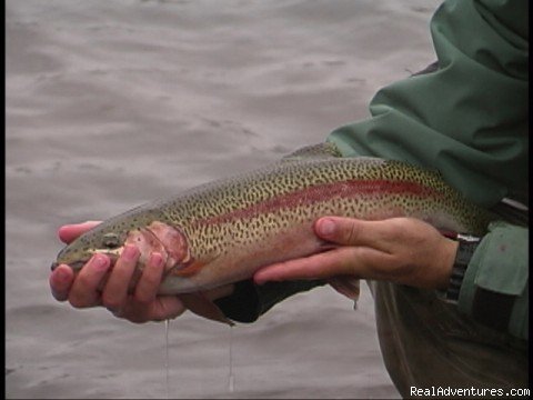 Rainbow Trout Fishing | Alaska's Northwoods Lodge | Image #5/6 | 