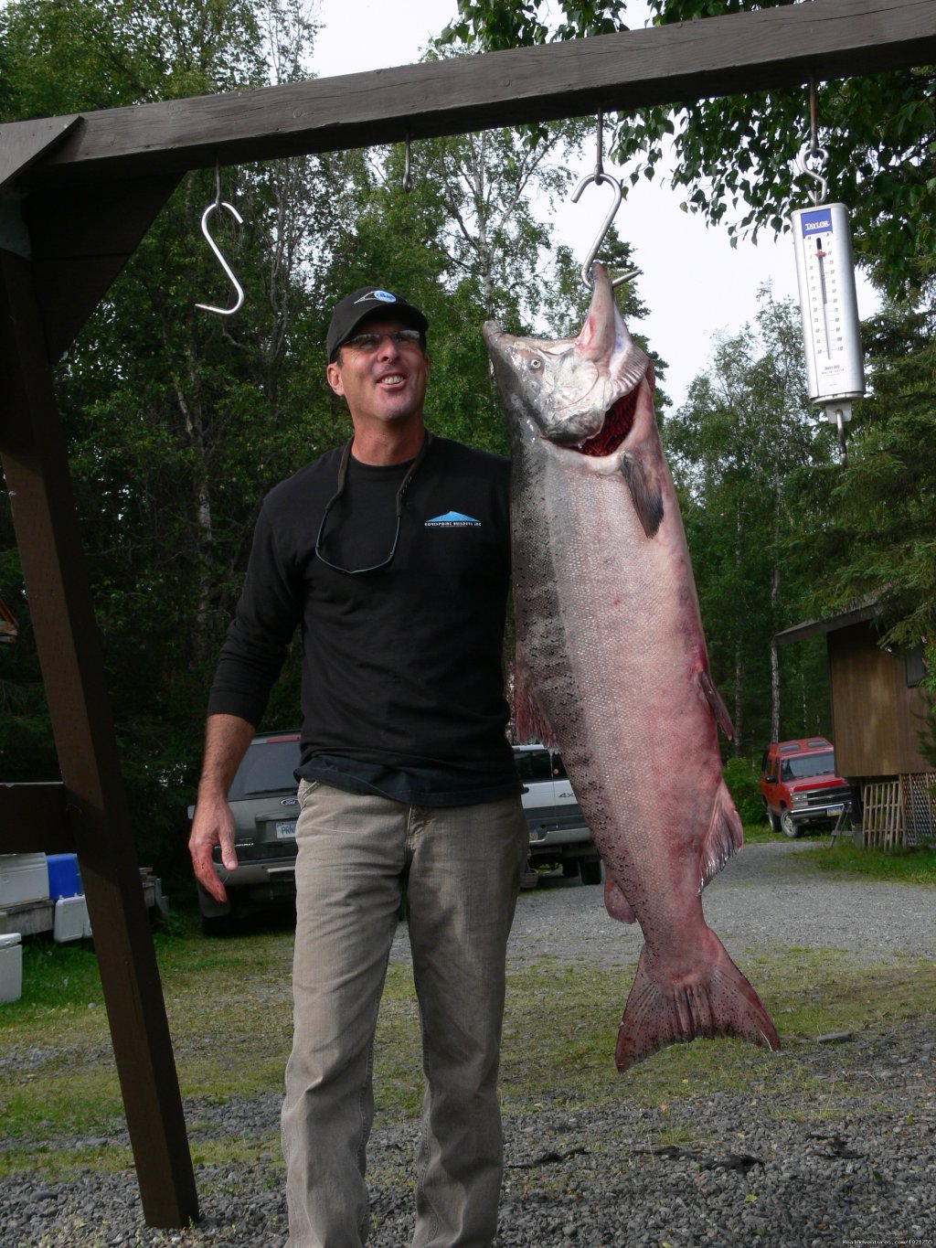 Another Nice King Salmon | Alaska Fishing Adventures at Krog's Kamp | Image #6/12 | 