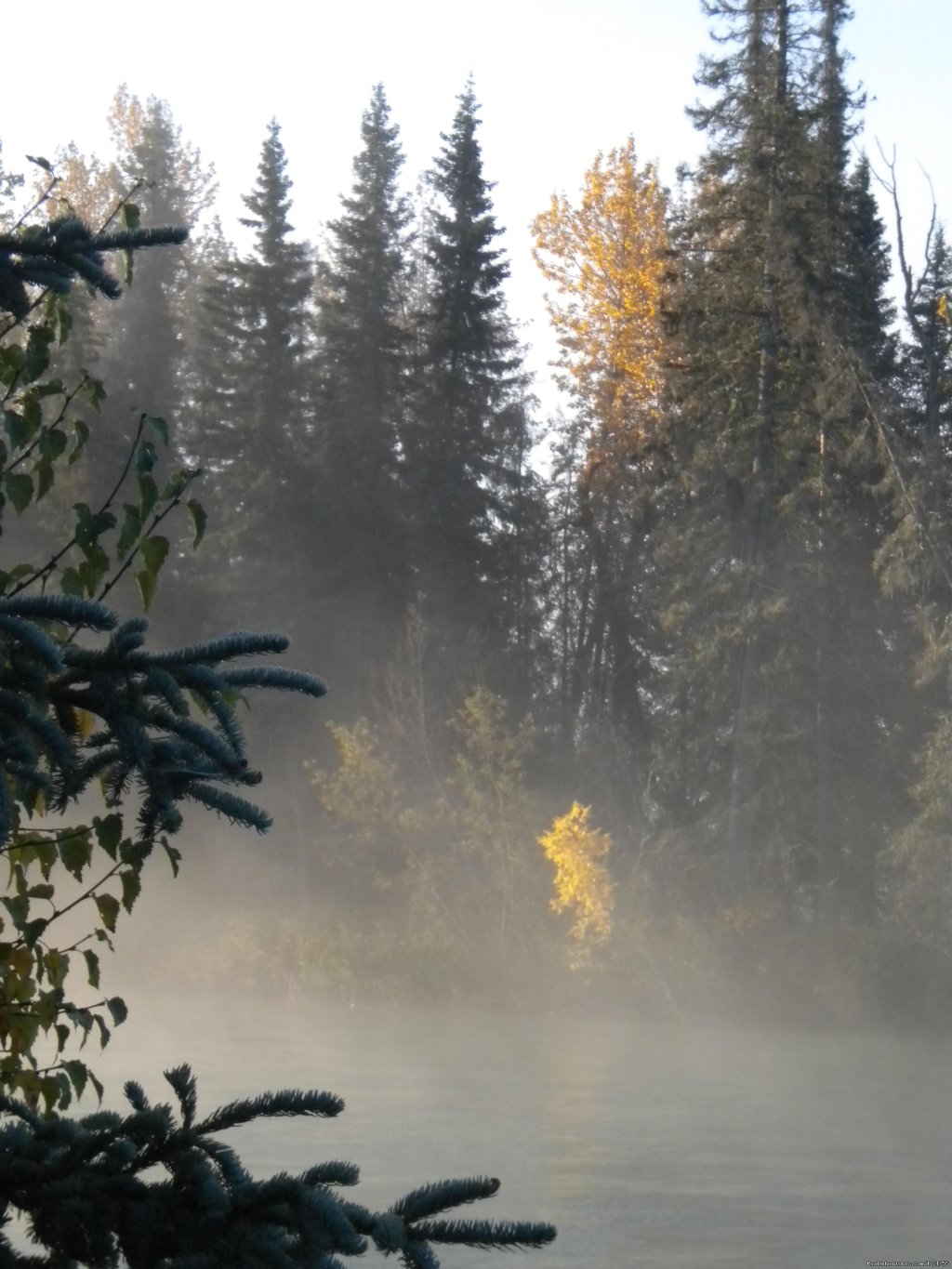 Fog on the River | Alaska Fishing Adventures at Krog's Kamp | Image #11/12 | 