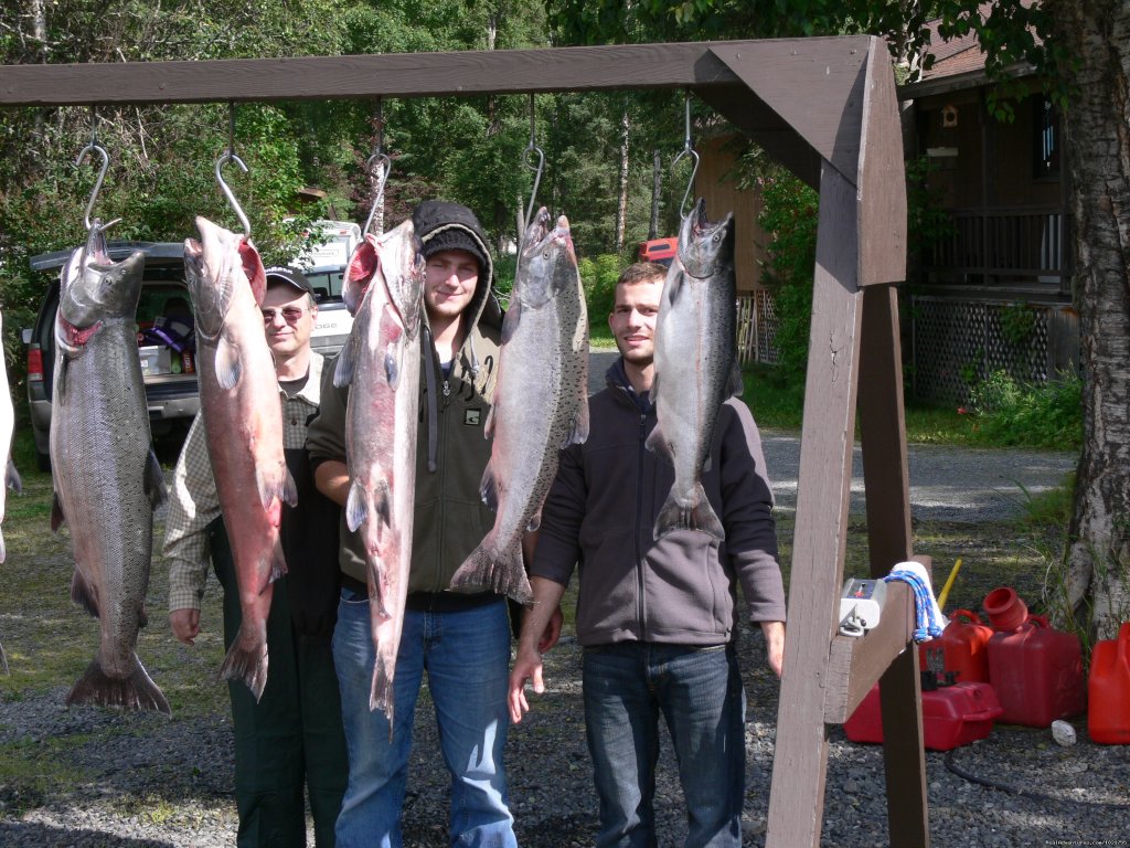 A Nice Harvest of Kings | Alaska Fishing Adventures at Krog's Kamp | Image #8/12 | 