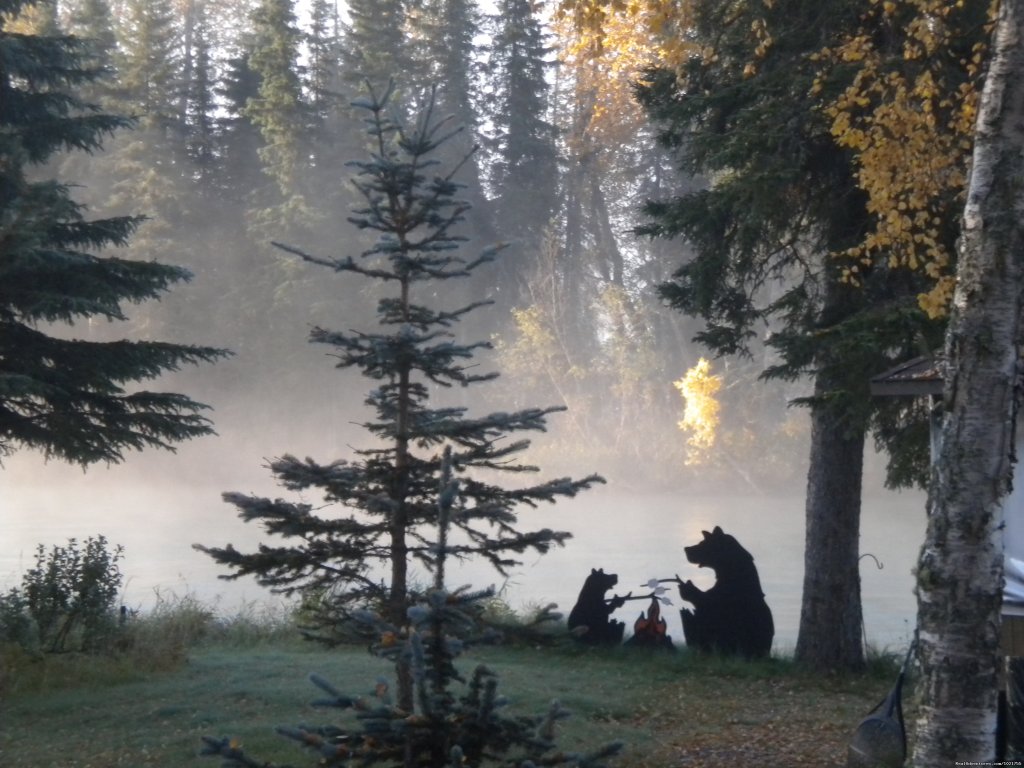 Bears | Alaska Fishing Adventures at Krog's Kamp | Image #10/12 | 