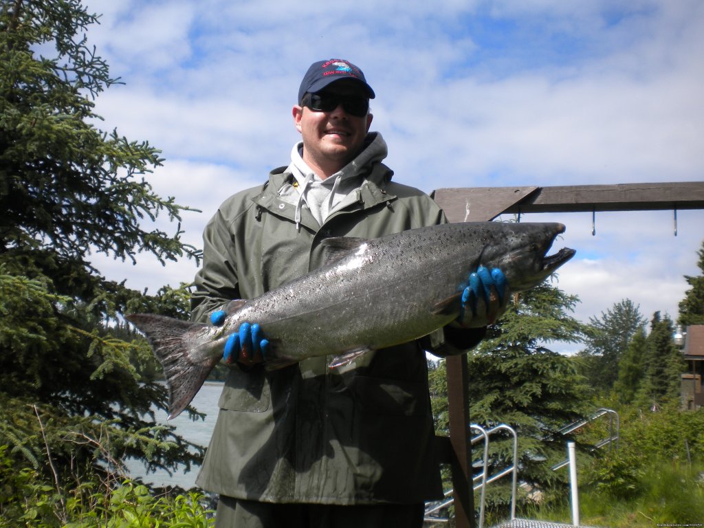 Yet another King Salmon | Alaska Fishing Adventures at Krog's Kamp | Image #7/12 | 