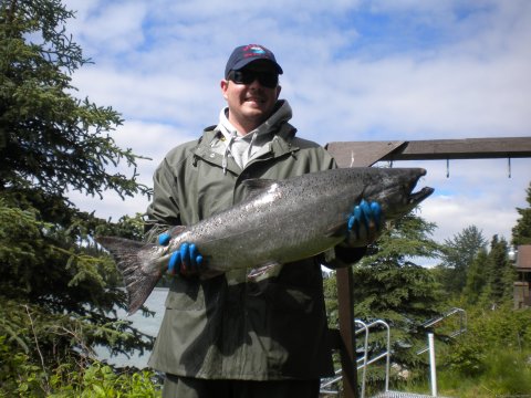 Yet another King Salmon