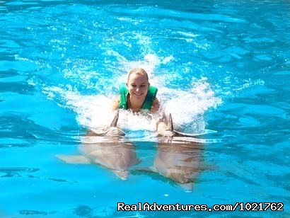 Swim with Dolphins at Dolphin World | Image #3/4 | 