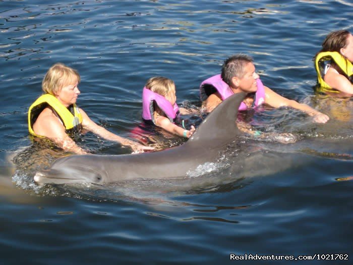 Swim with Dolphins at Dolphin World | Image #2/4 | 