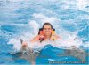 Swim with Dolphins at Dolphin World | Florida Keys, Florida