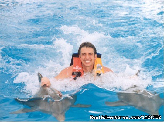 Swim with Dolphins at Dolphin World | Florida Keys, Florida  | Eco Tours | Image #1/4 | 
