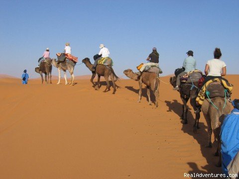 Camel trekking in Morocco | The Adventure Company | Winchester, United Kingdom | Sight-Seeing Tours | Image #1/3 | 