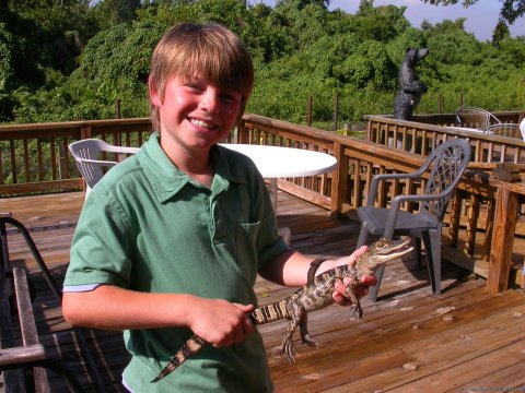 Holding a juvenile alligator