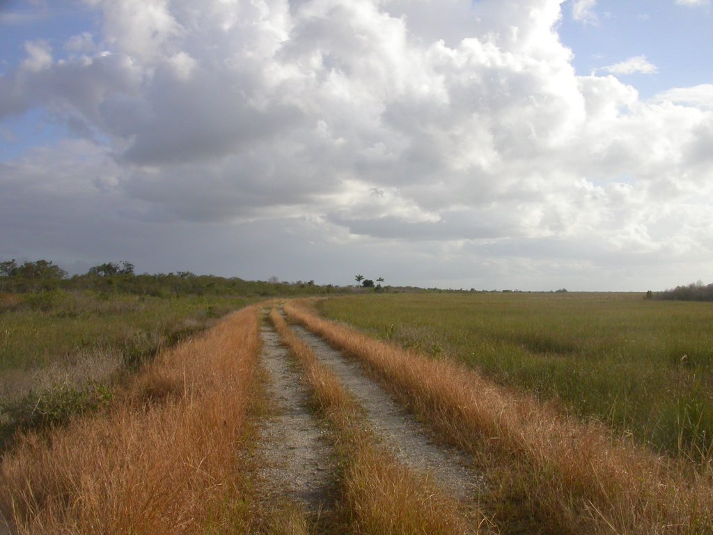 Everglades Day Safari | Image #14/21 | 