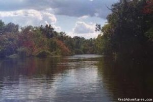 Katie's Wekiva River Landing | Sanford, Florida | Kayaking & Canoeing