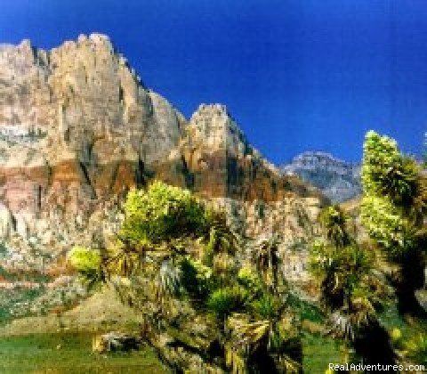 Red Rock Canyon State Park | A T V Action Tours, Inc. | Henderson, Nevada  | ATV Trips | Image #1/5 | 