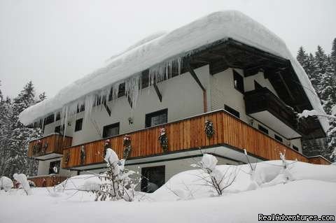 Our house in winter | The TreeHouse Backpacker Hotel | Image #3/10 | 