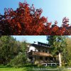 The TreeHouse Backpacker Hotel | Aalfang, Austria